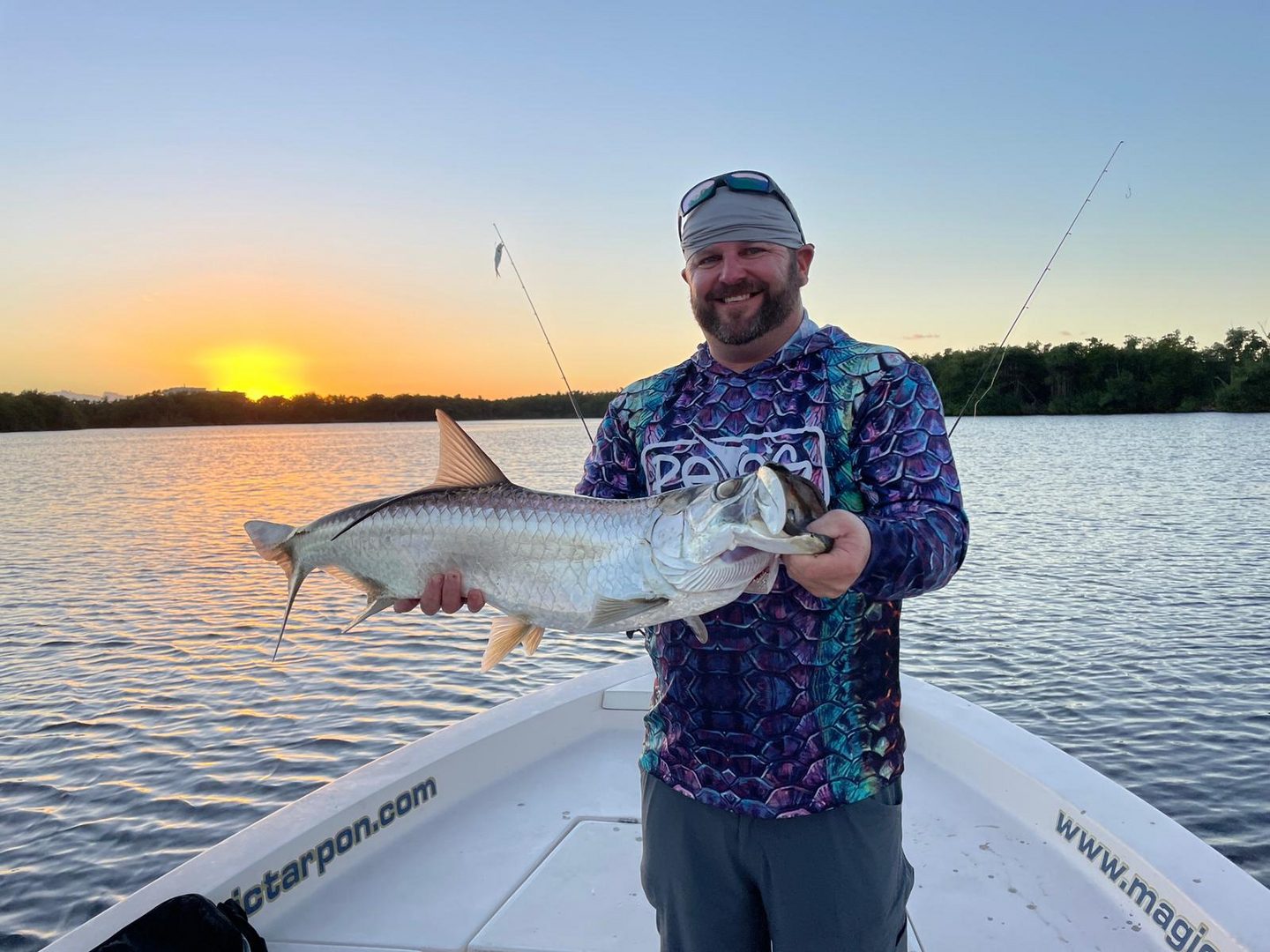 Afternoon Tarpon Action Heating Up